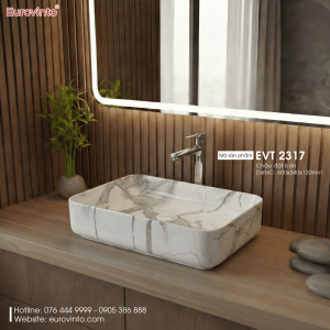 Chậu rửa Eurovinto EVT 2317