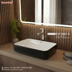 Chậu rửa Eurovinto EVT 2551-2