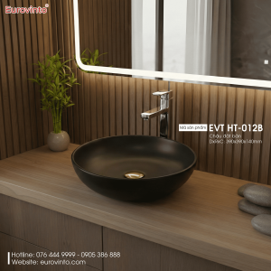 Chậu Rửa STAR S-4256 8 Chậu rửa Eurovinto EVT HT-012B