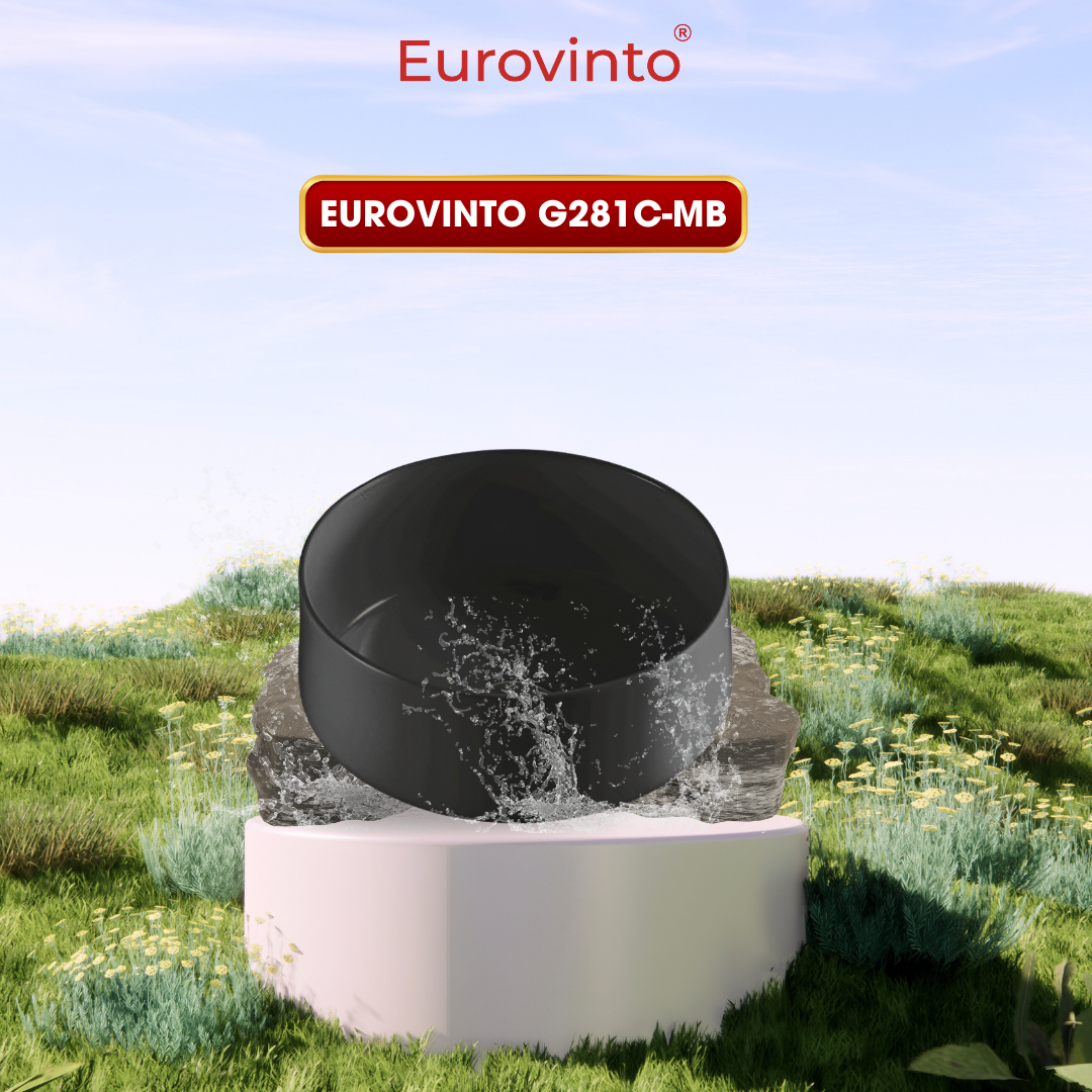 chau rua eurovinto g281c mb