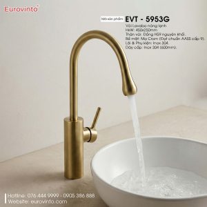 Vòi nước Eurovinto EVT - 5953G