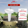 chau rua star s 4386 4397 2 827e7eeb